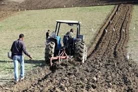 إرتفاع مساحة الأراضي المزروعة بالشمال