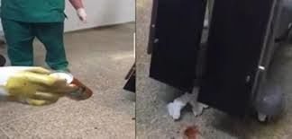 حقوقيون يطالبون عَبْر “آشكاين” بمعاقبة الأطباء المتورطين في “فيديو الكانيط”