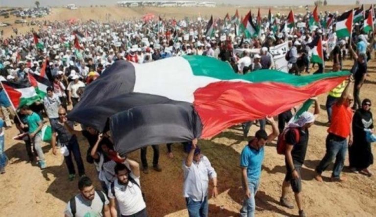 إصابة 528 فلسطينيا…وجنود إسرائليون يعبرون عن شعورهم بالعار