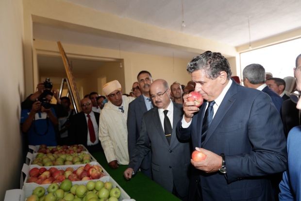 أخنوش يستعرض نتائج “المغرب الأخضر”