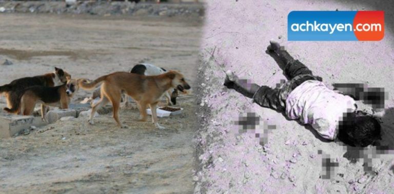 مروع…كلاب ضالة تقتل طفلا بزاكورة