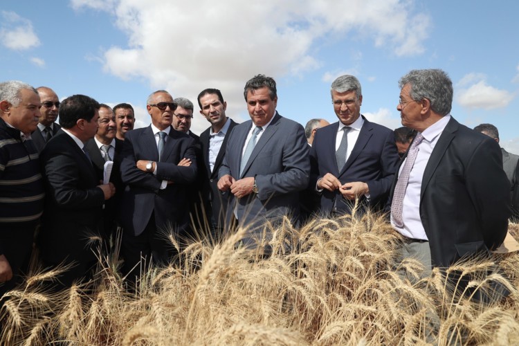 أنباء عن رفض مكتب مجلس النواب مراقبة “المغرب الأخضر”..ومقرب من المالكي يوضح