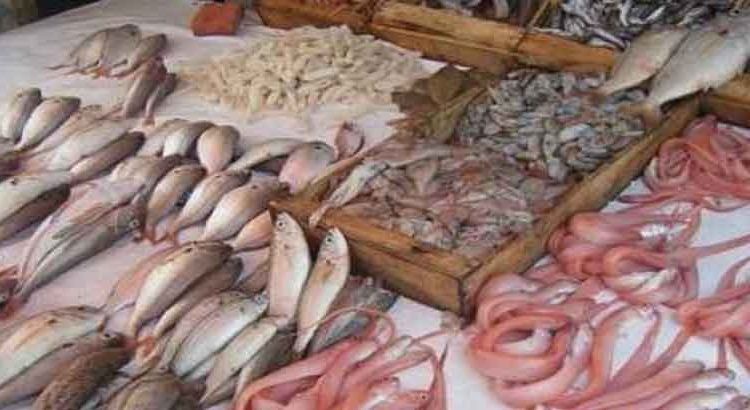 تقرير أسود يكشف عن تورط مافيات في ارتفاع أسعار السمك