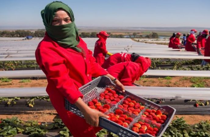 اعتقال متورط آخر واحتجاجات بإسبانيا تضامنا مع العاملات المغربيات