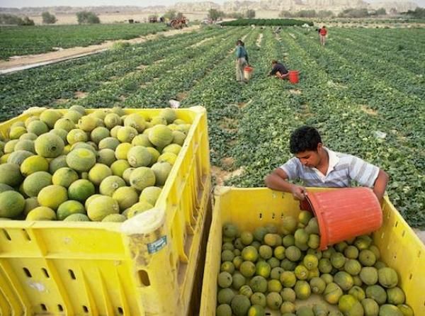 نمو الاقتصاد المغربي في تراجع مقارنة بالسنة الماضية