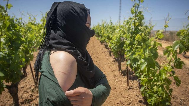 حقيقة عرقلة “البيجدي” لإحداث لجنة إستطلاعية حول الإعتداءات على عاملات الفراولة