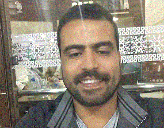 عن الذباب و النحل و الخطاب السياسي