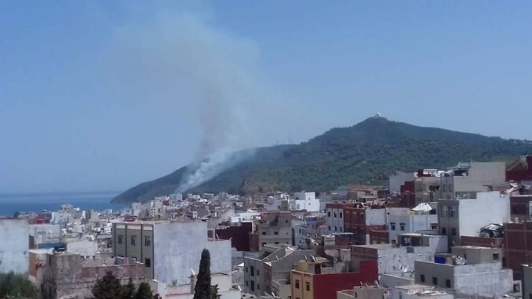 النيران تلتهم غابات محادية لميناء المضيق (الفيديو)