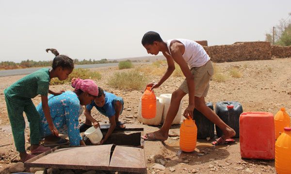 في ظل أزمة المياه.. المغرب يهدف إلى تصدير 60 ألف طن من الأفوكادو (موقع متخصص)