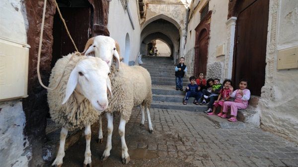 عيد الأضحى يوم 21 غشت بعدة دول عربية