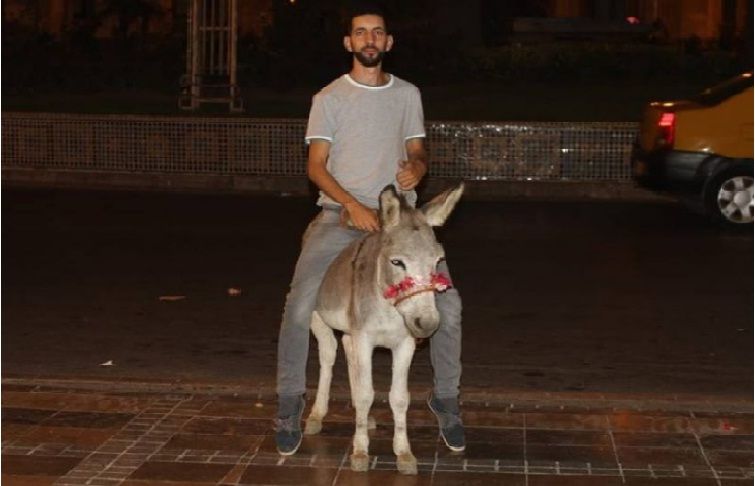 اعتقال شاب رفقة حماره في شوارع تطوان