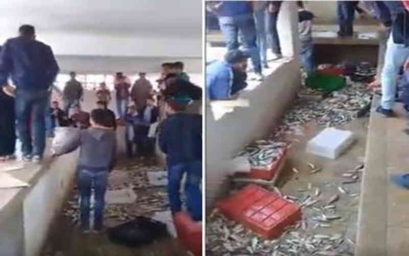 القضاء يقول كلمته في حق مقاطعي الاسماك