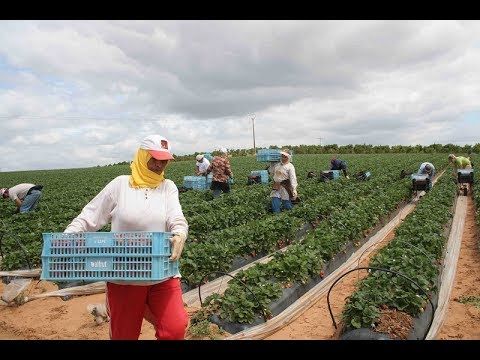 مؤثر .. معاناة المهاجرين المغاربة بإسبانيا وإيطاليا