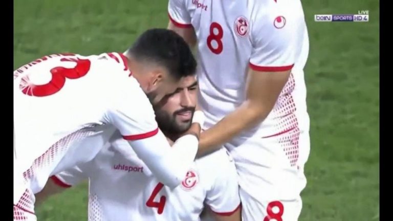 ملخص تونس والنيجر