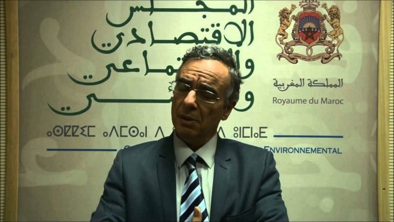 حركات: رقابة البرلمان ومجلس جطو على الميزانية ضعيفة