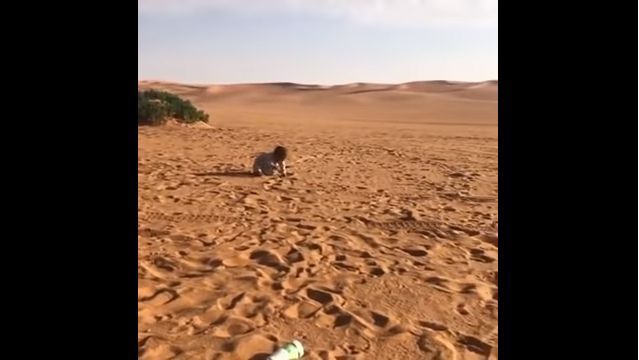 رضيع يحبو ويتجول في البر بعد أن نسيه أهله وتركوه وحيداً (فيديو)