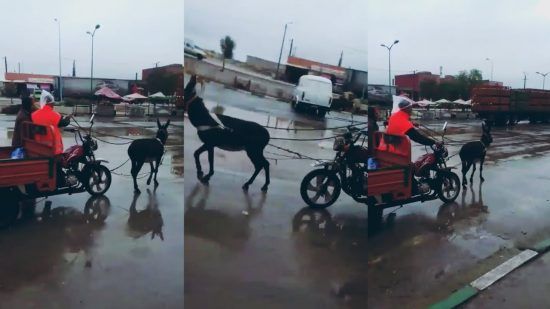 فيديو .. طريقة جديدة للإضراب ضد المحروقات