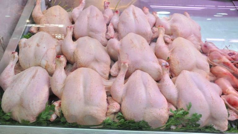 ارتفاع صاروخي في أسعار الدجاج يشعل موجة سخط وسط المغاربة