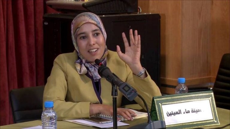 ماء العينين: الدستور منح لبوعشرين الحق في اللجوء للآليات الأممية