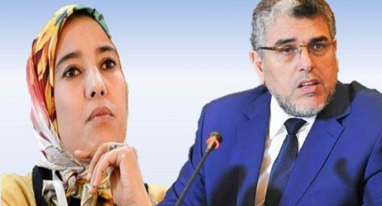 ماء العينين للرميد: أهنت الناخبين
