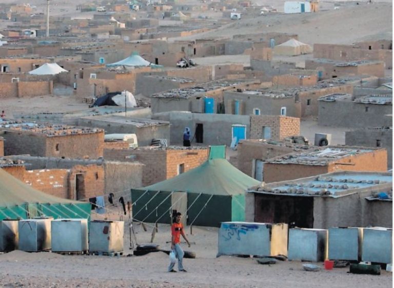 قمة التسيب بمخيمات تندوف.. سرقة سيارات “السلطة”