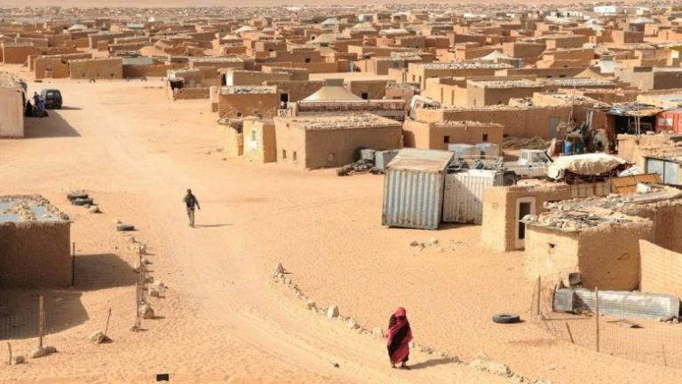 جنيف : اعتصام تنديد بأوضاع حقوق الإنتسان بتندوف