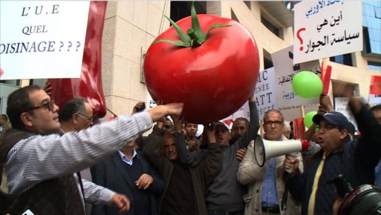 بعد الاتفاق الاجتماعي.. المقاولات الفلاحية ترفض الزيادة في الأجور