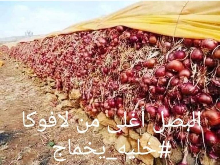 داعية يطلق حملة لمقاطعة البصل في رمضان