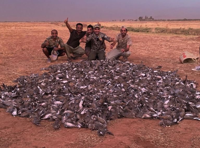 تفاصيل جديدة عن مجزرة الخليجيين في حق أزيد من 1400 طائر