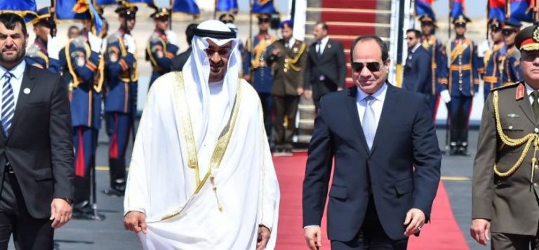 نيويورك تايمز: حملة مصرية إماراتية على مواقع التواصل للتأثير على مواطني 9 دول