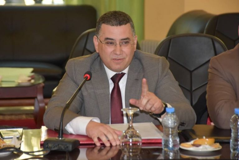 الميموني: فوز مرشحة البام لخلافة العماري أمر  محسوم(حوار)