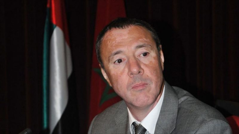 بدر الدين الإدريسي