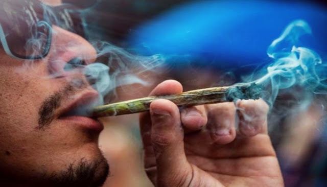 شركة تبحث عن موظف لتدخين الحشيش براتب خيالي