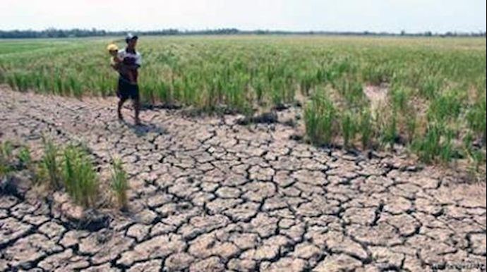 الزعواطي: الفلاح يواجه الجفاف وحده والحكومة غائبة