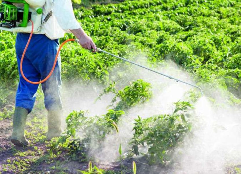النواب يفتحون ملف السوق السوداء للمبيدات الخطيرة