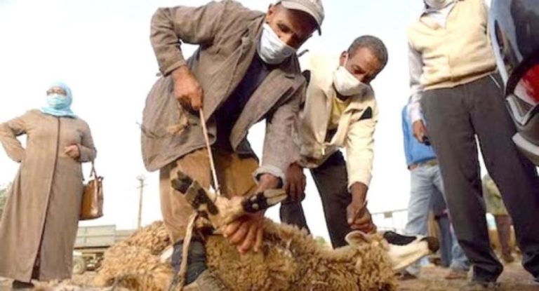 هند الزين: هكذا يمكن قضاء عيد بدون مخاطر صحية