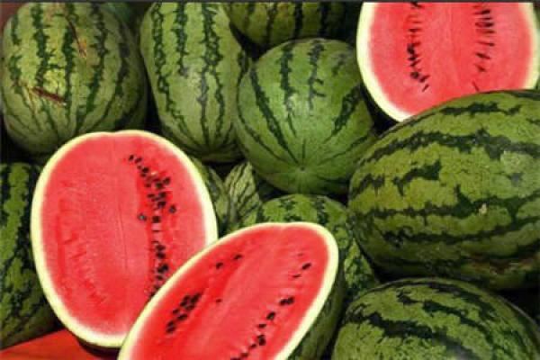 الدلاح يرسل 12 فردا من عائلة واحدة إلى المستعجلات