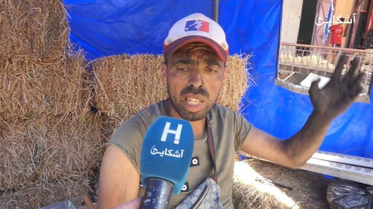 محاربة البطالة في العيد