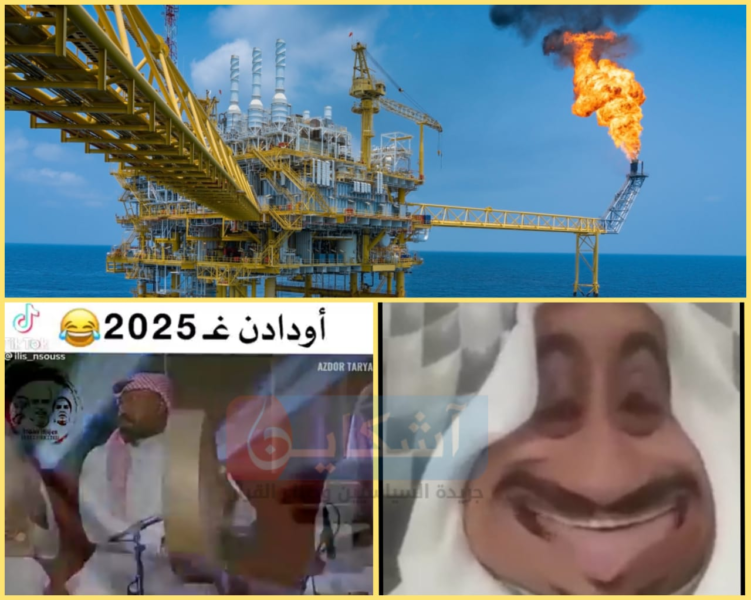 سوسيون يتفاعلون مع خبر اكتشاف البترول في منطقتهم بالسخرية (فيديوهات+صور)