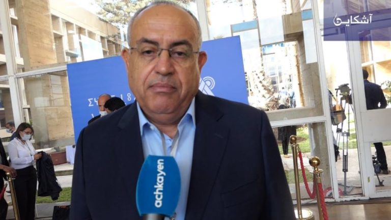 مستشارون وانتخاب أخنوش