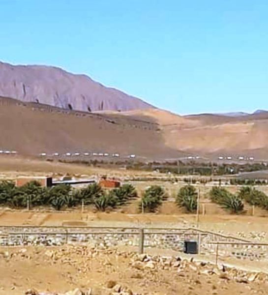خاص.. الجزائر  تسعى لتحقيق ثلاثة أهداف من وراء  إرسال عشرات الشاحنات لمنطقة العرجة