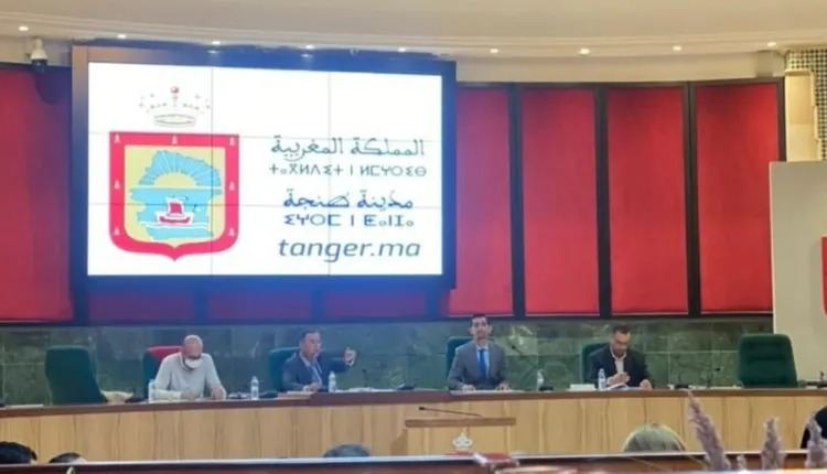 السردين، التونة، الدلفين.. أسماء تجتاح أحياء بطنجة