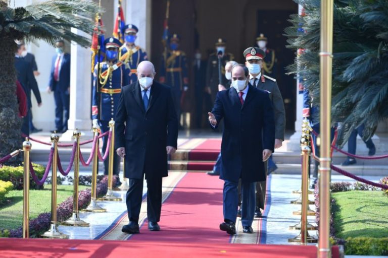 على ماذا كان يبْحثُ تـبّـون في مَــصْر؟