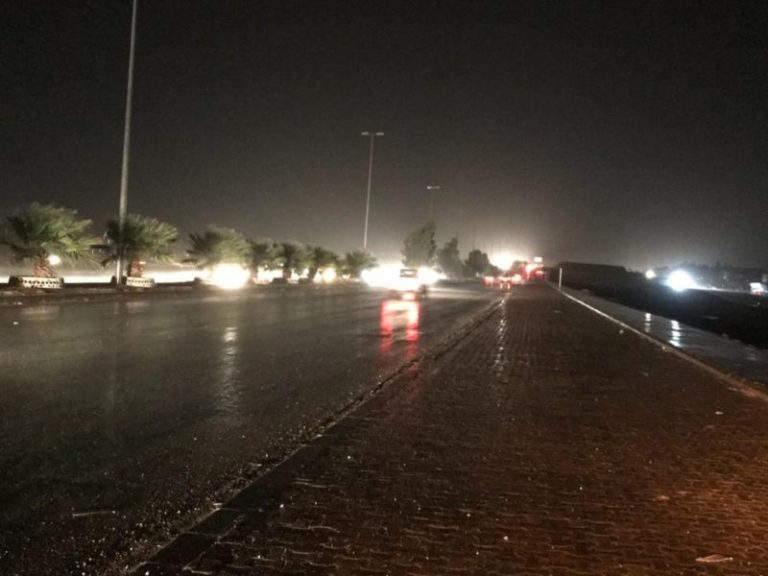 طائــرٌ يَقطع الكهرباء عن شركاتٍ صناعية و أحياءَ سكنية بطنجة