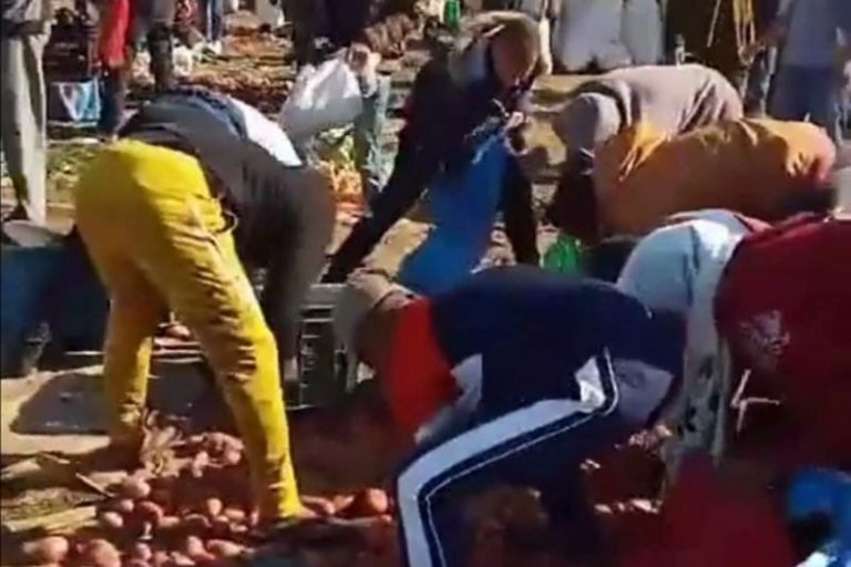 الكلاب لا تنبح فقط أيتها “الحسناء”!