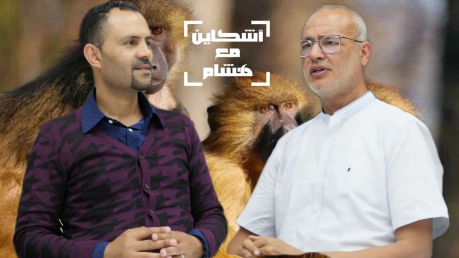 غالي يكشف حقائقُ مثيرة عن جُذري القردة وعلاقته بالمثلية الجنسية (فيديو)