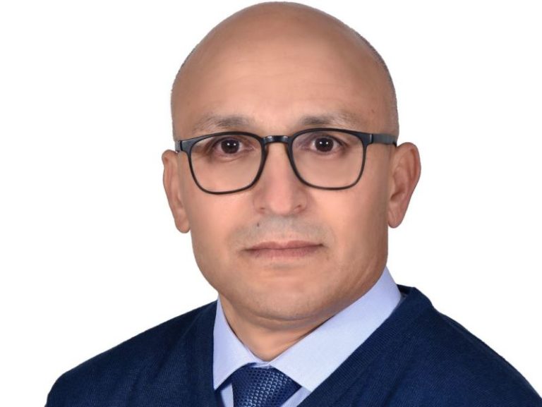 قرار البرلمان الأوروبي وحصان طروادة