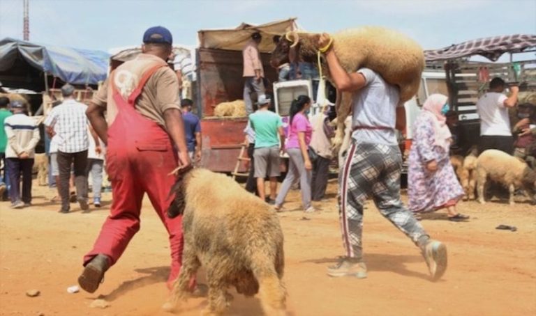 خوفا من تكْـــرار سيناريو سرقة أضاحي العيد.. تعزيزاتٌ أمنية بأسواق باشتوكة