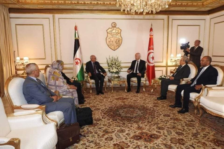 الأسباب الحقيقية لاستقبال قيس سعيد زعيم البوليساريو
