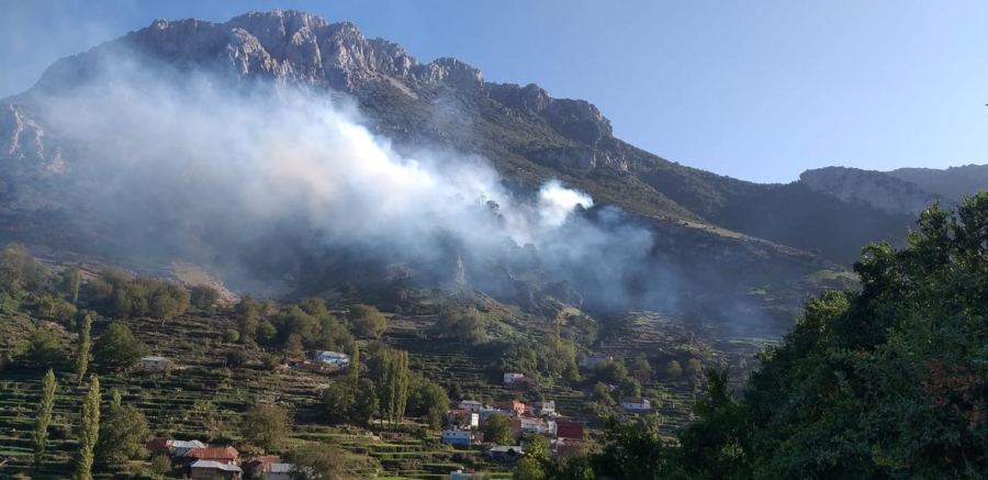 تطوان .. حريقٌ ضخْــم يأتي على أزيد من 4 هكتارات (صور+فيديو)